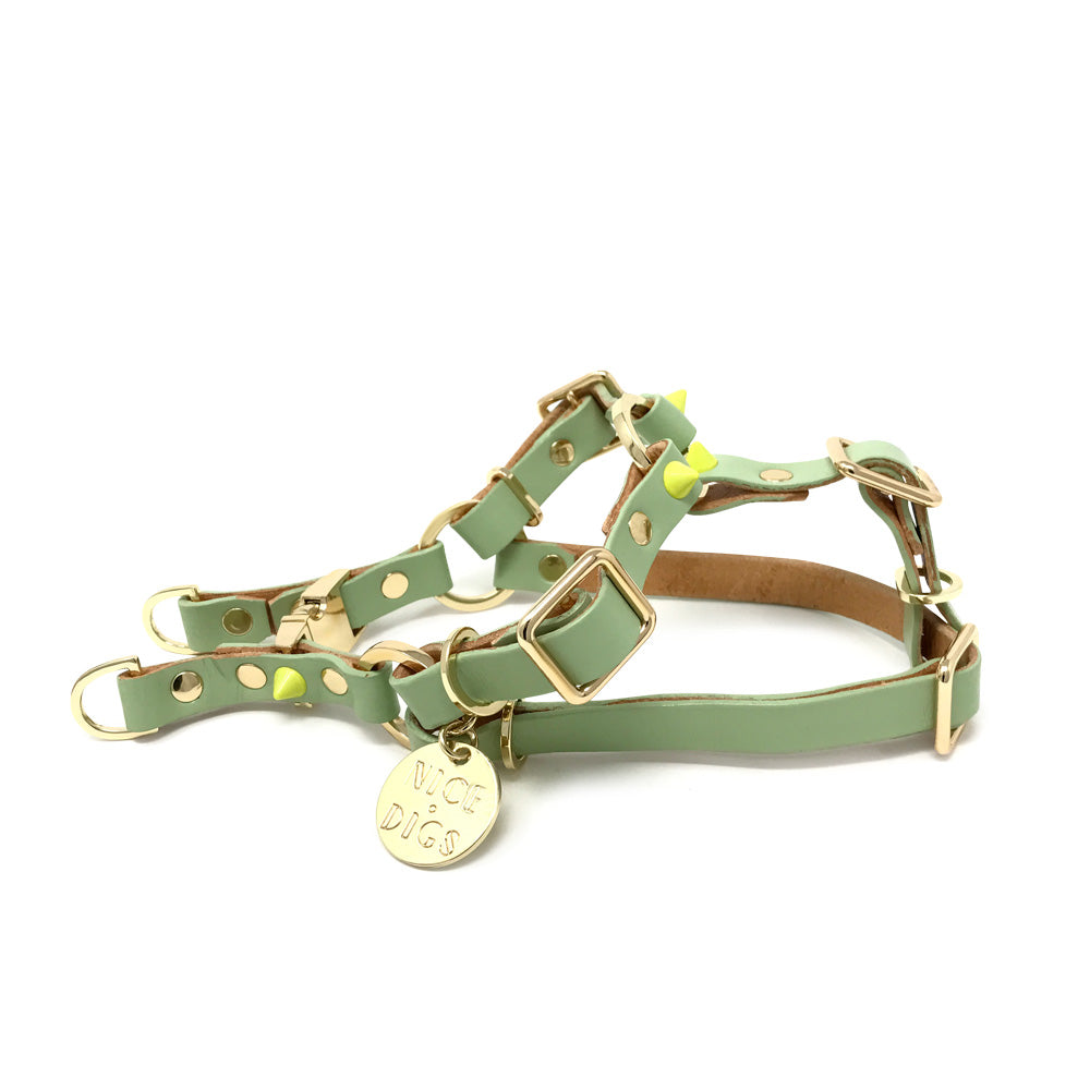 Spike Leather Non-Pull Dog Harness - Lime Pistachio