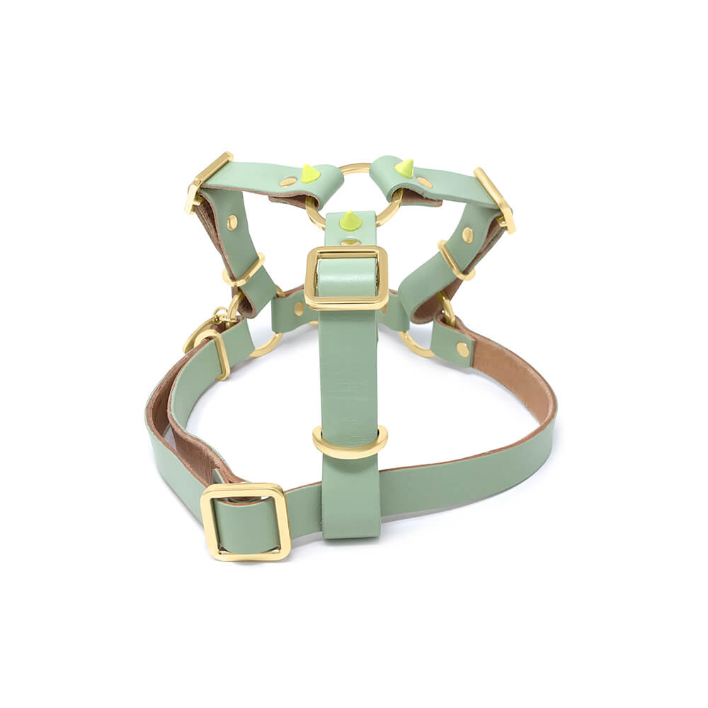 Spike Leather Non-Pull Dog Harness - Lime Pistachio