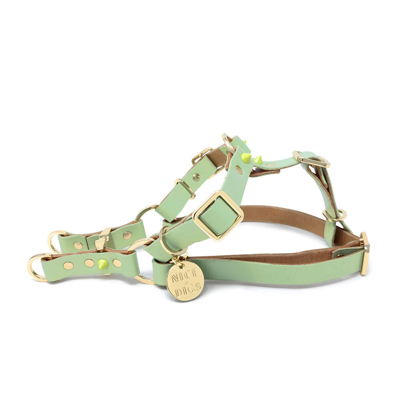 Spike Leather Non-Pull Dog Harness - Lime Pistachio