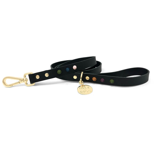 Smooth Spike Leather Dog Leash - Forest Noir