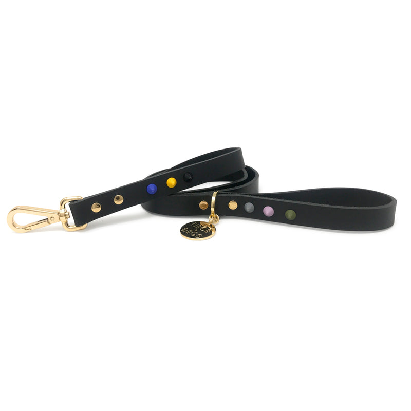 Smooth Spike Leather Dog Leash - Rocky Noir