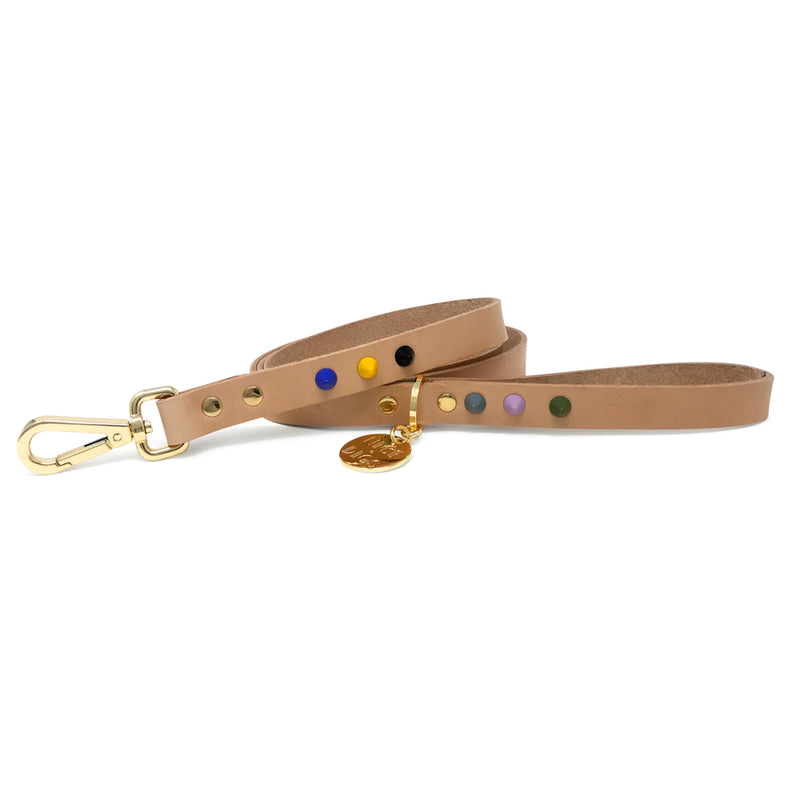 Smooth Spike Leather Dog Leash - Rocky Tan