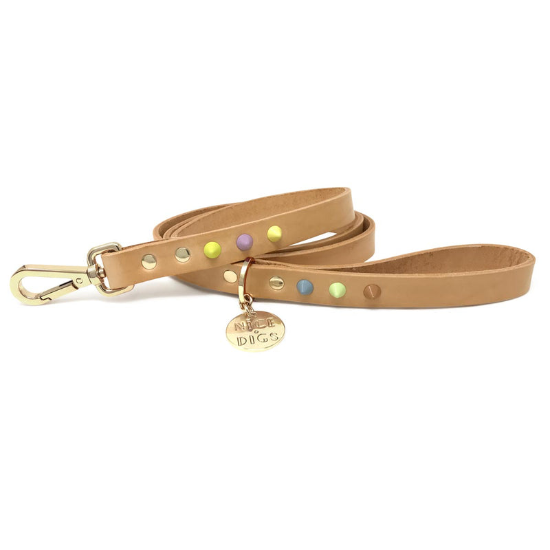 Smooth Spike Leather Dog Leash - Sorbet Tan