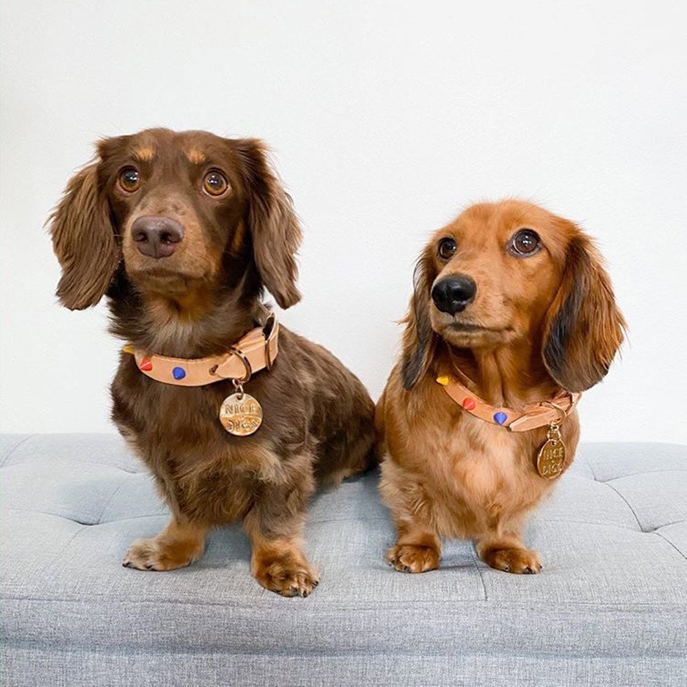 Smooth Spike Leather Dog Collar - Memphis Tan