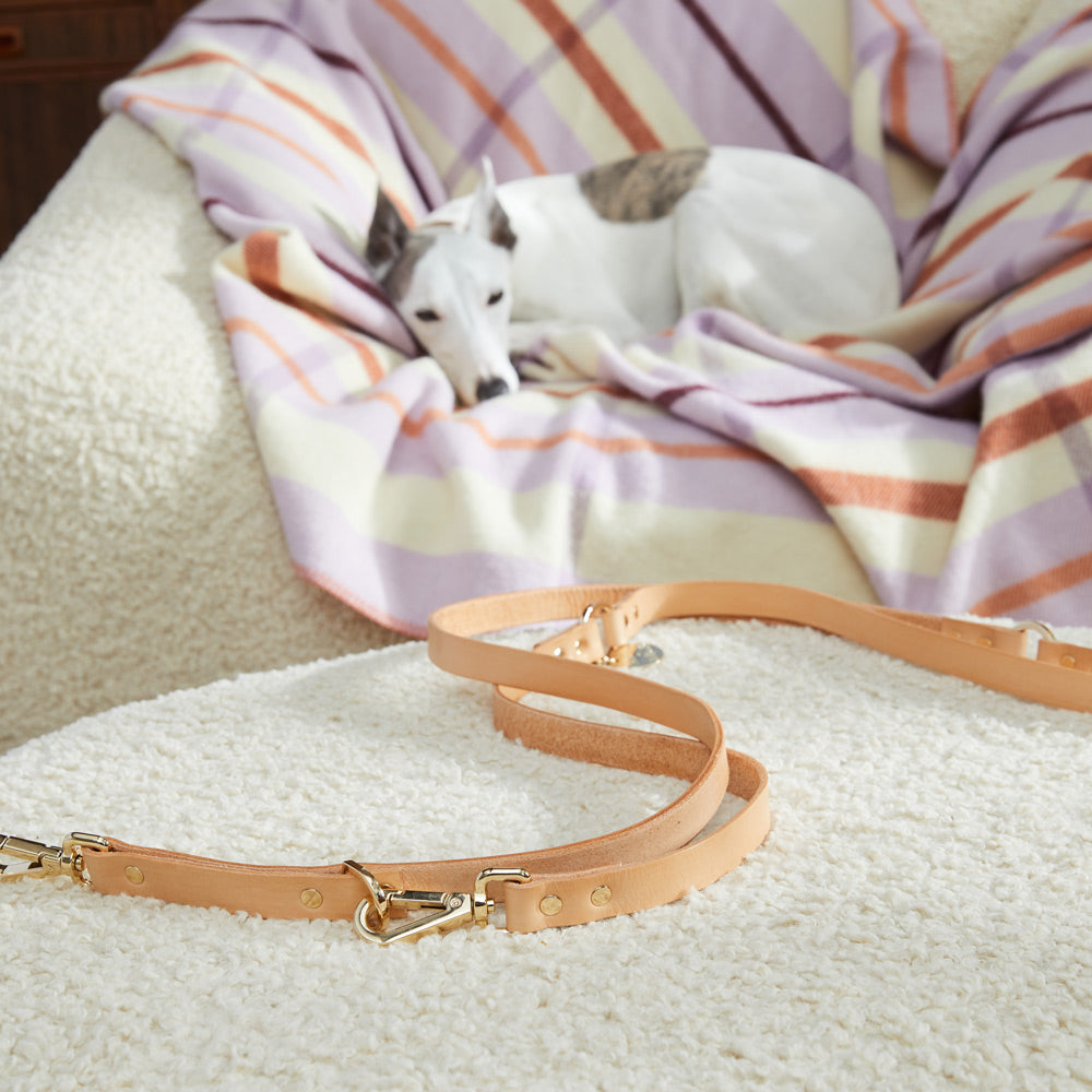 Adjustable Leather Dog Leash - Tan