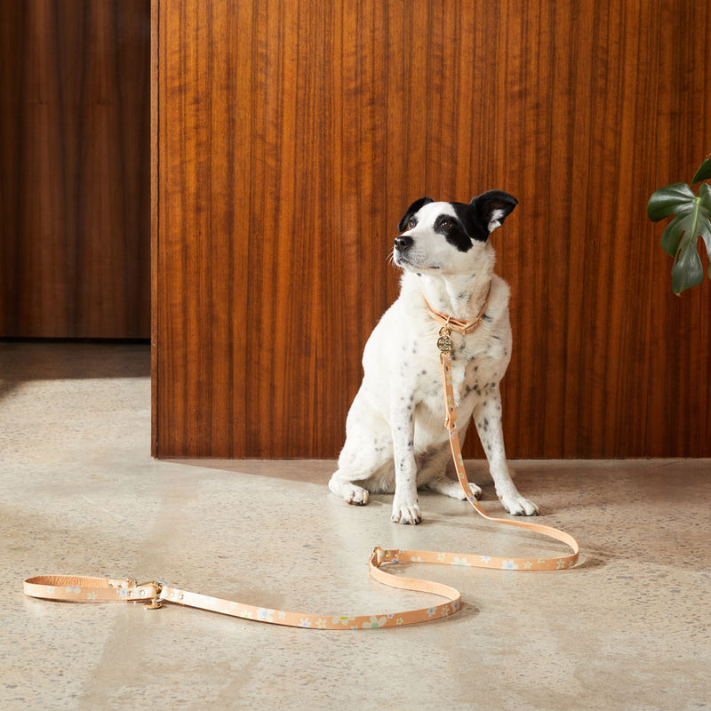 Posie Adjustable Leather Dog Leash - Spring