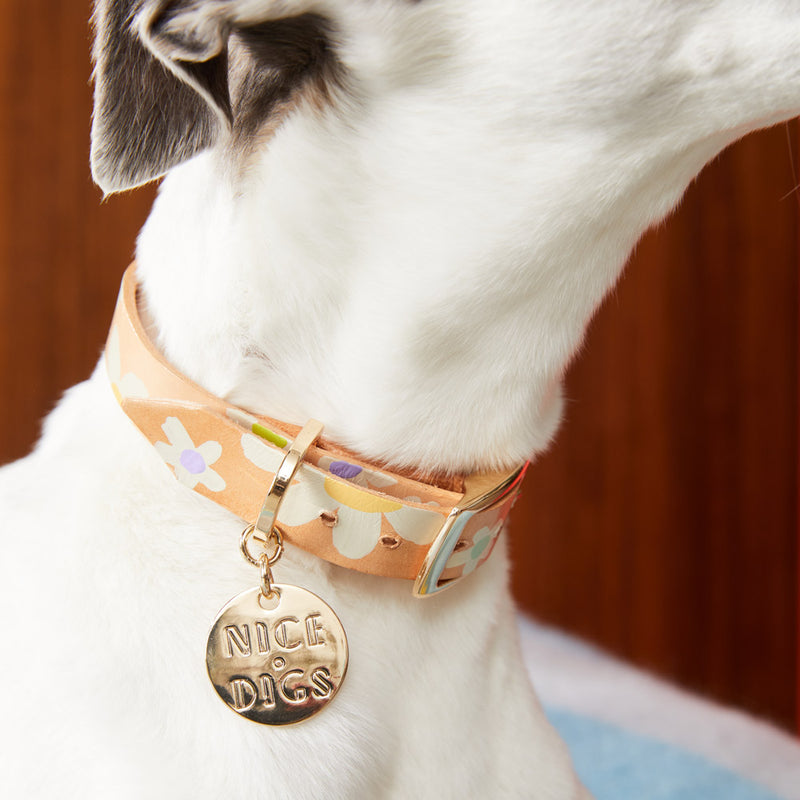 Posie Leather Dog Collar - Spring