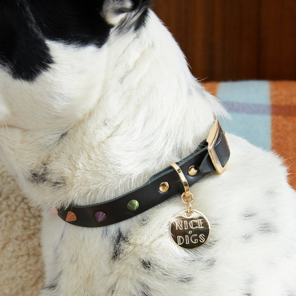 Smooth Spike Leather Dog Collar - Forest Noir