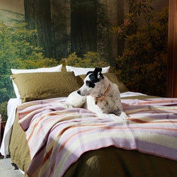 Nice Digs Wool Blanket - Lilac