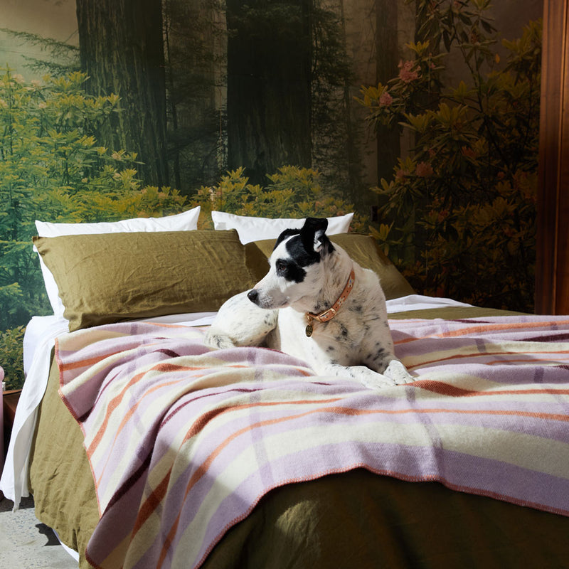Nice Digs Wool Blanket Lilac NICE DIGS