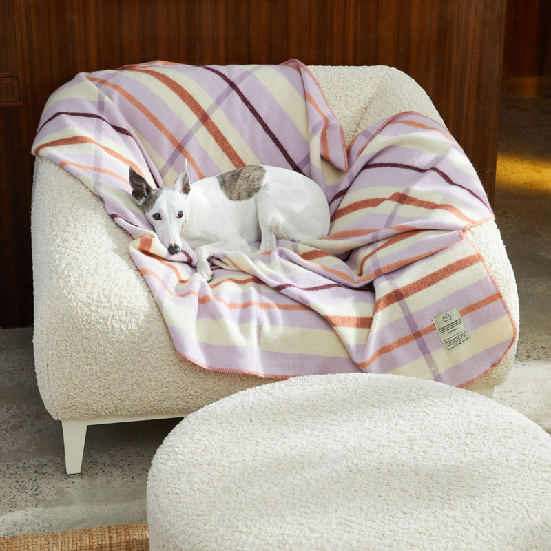 Nice Digs Wool Blanket - Lilac