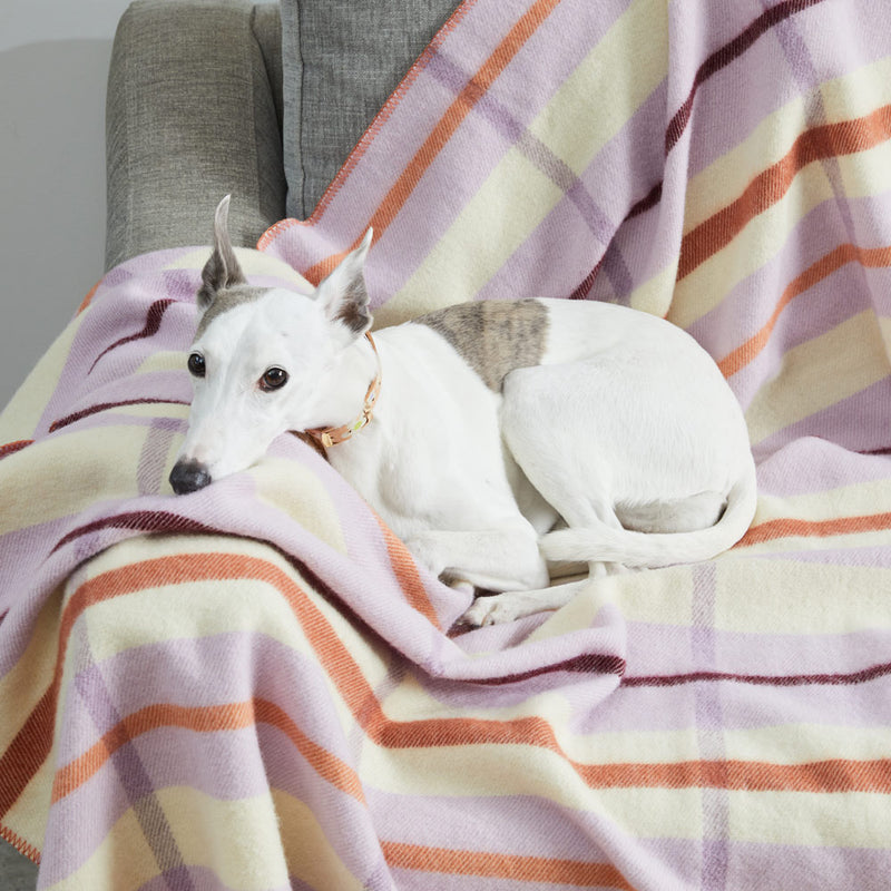 Nice Digs Wool Blanket - Lilac