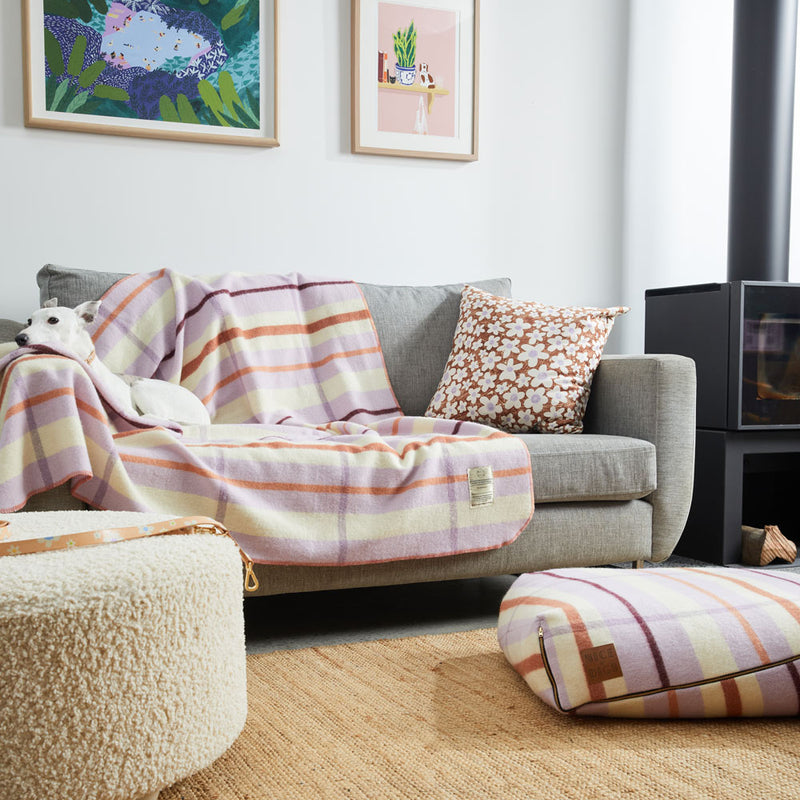 Nice Digs Wool Blanket - Lilac