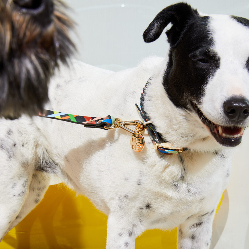 Check Me Out Leather Leash