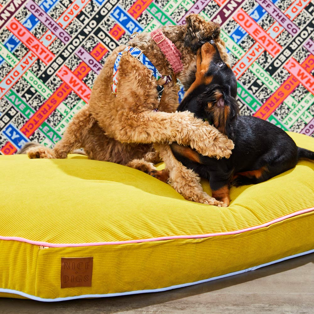 Oval Dog Bed Cover - ONLY S SIZES LEFT