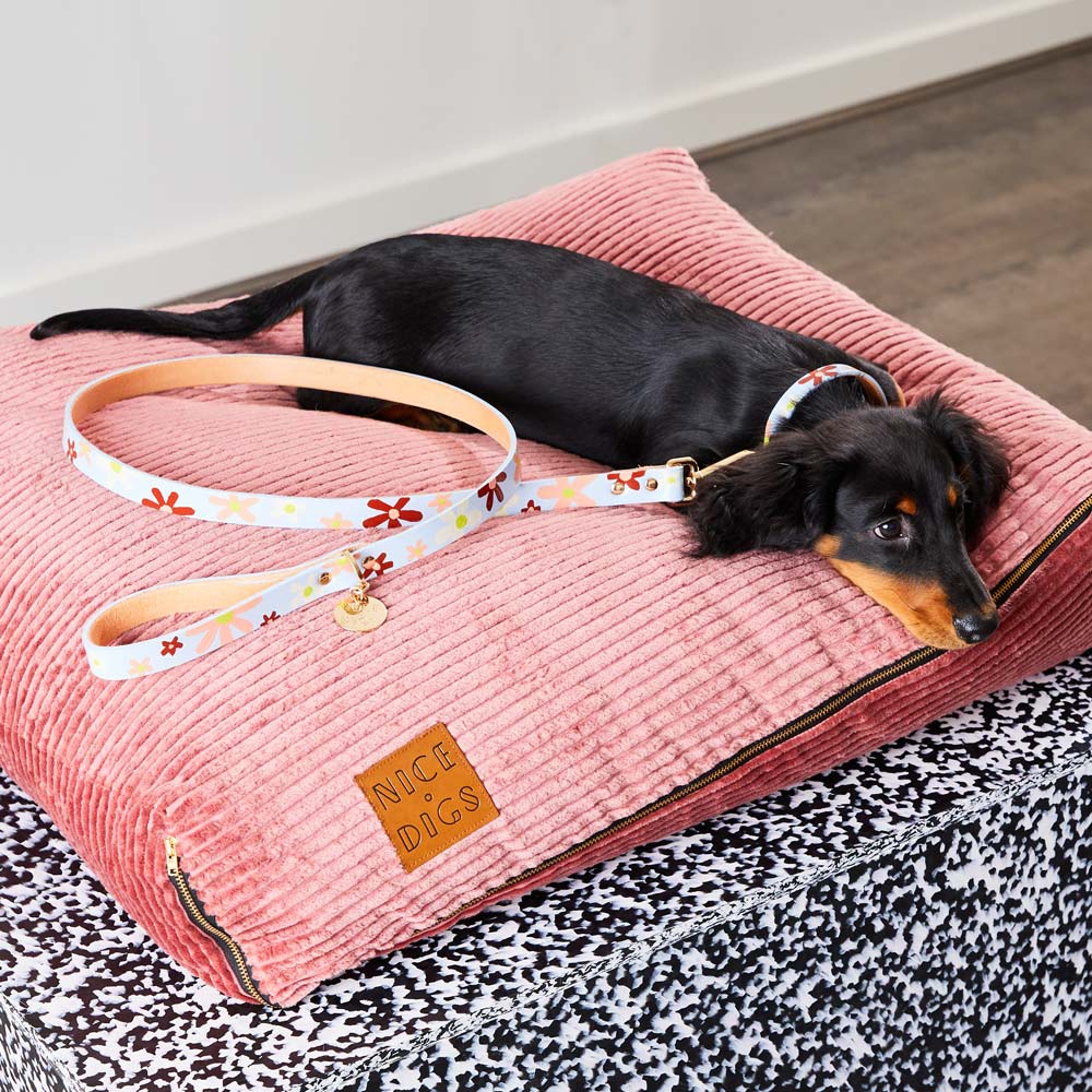 Posie Leather Leash - Glacier