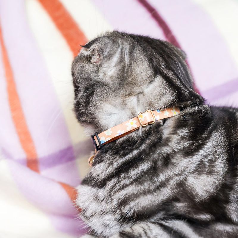 Posie Leather Cat Collar - Spring