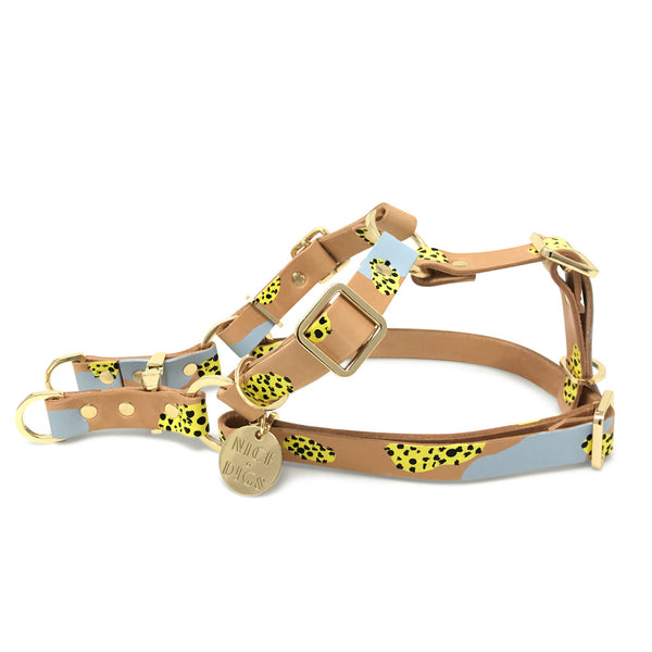 Tumble Weed Leather Non-Pull Dog Harness