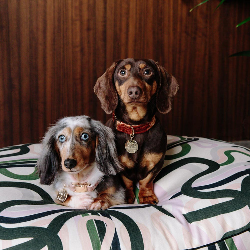 Velvet Dog Collar - Copper