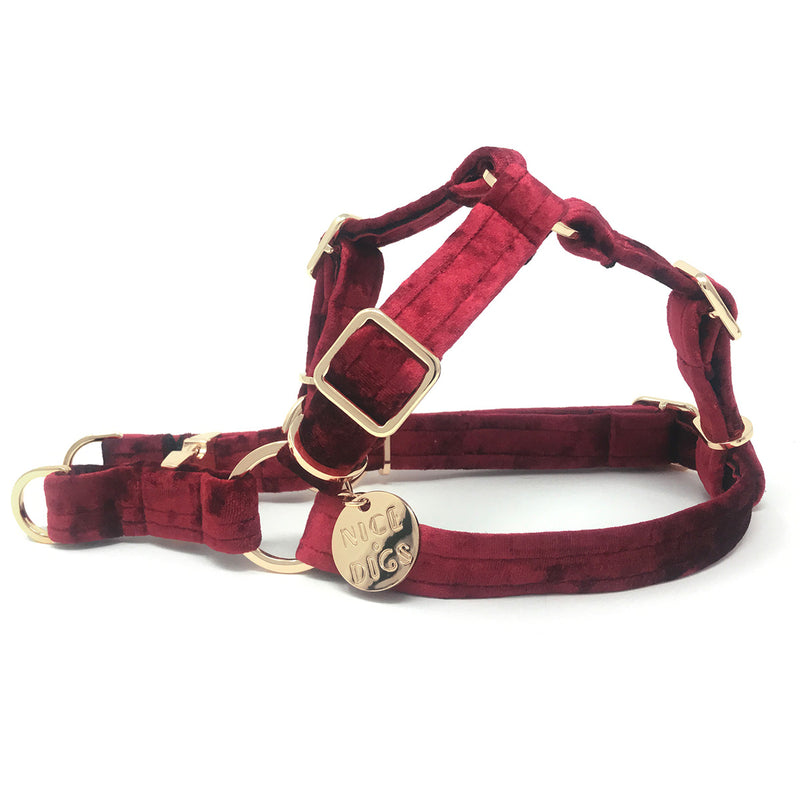 Velvet Non-Pull Dog Harness - Crimson