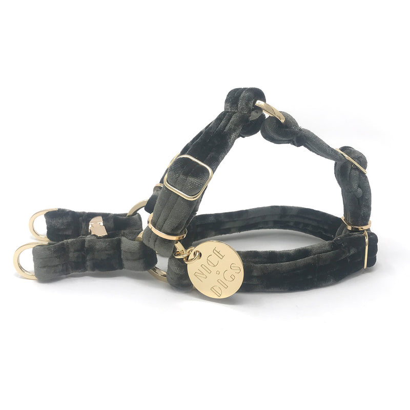 Velvet Non-Pull Dog Harness - Sage