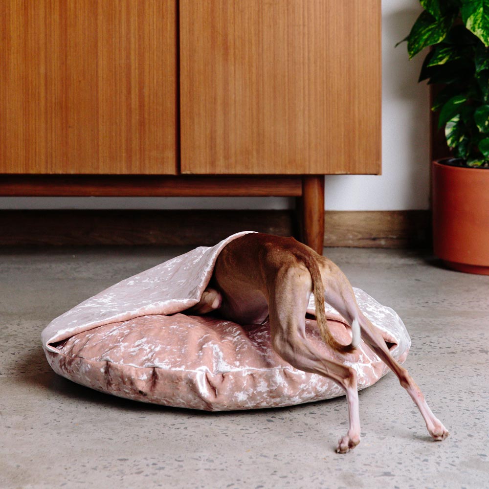 Velvet Snuggle Dog Bed - Peach