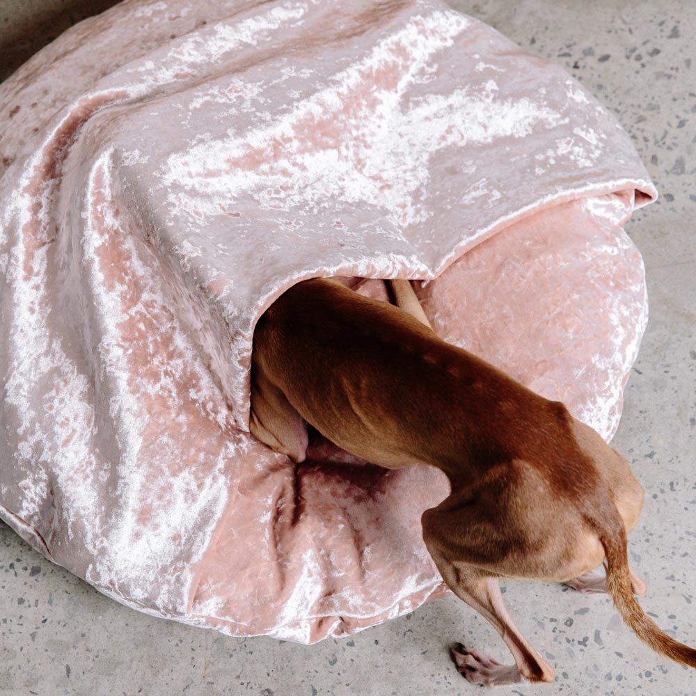 Velvet Snuggle Dog Bed - Peach