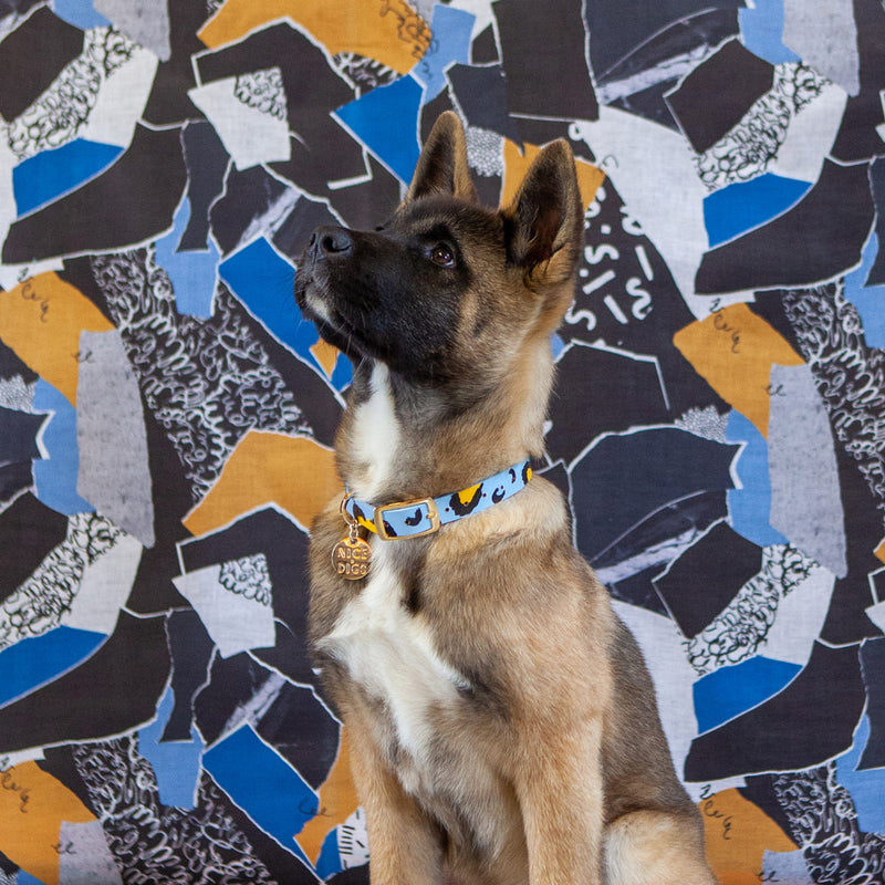 Animal Leather Dog Collar - Sky