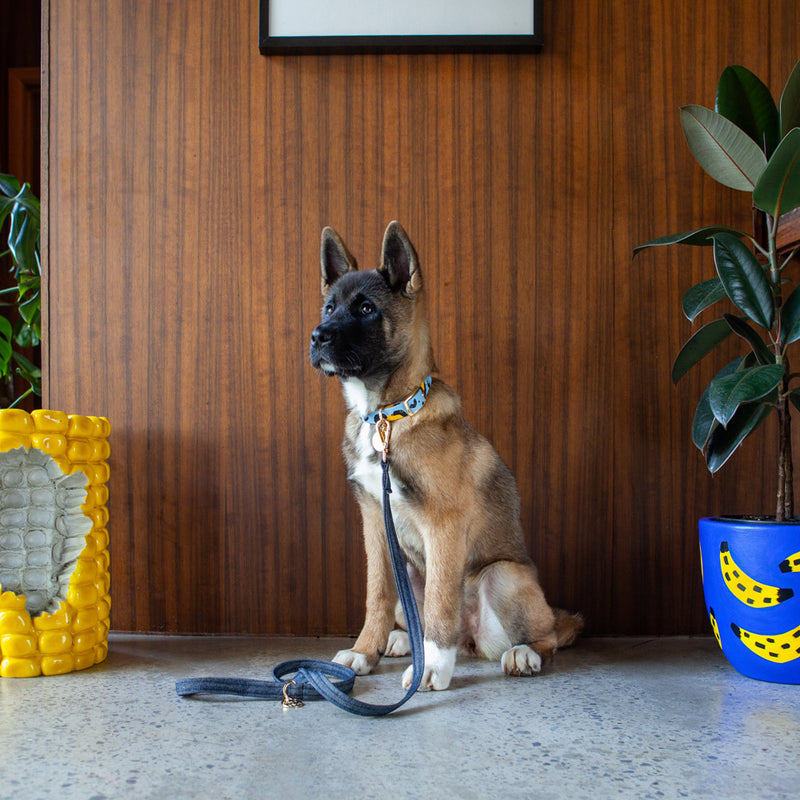 Dark Denim Leash