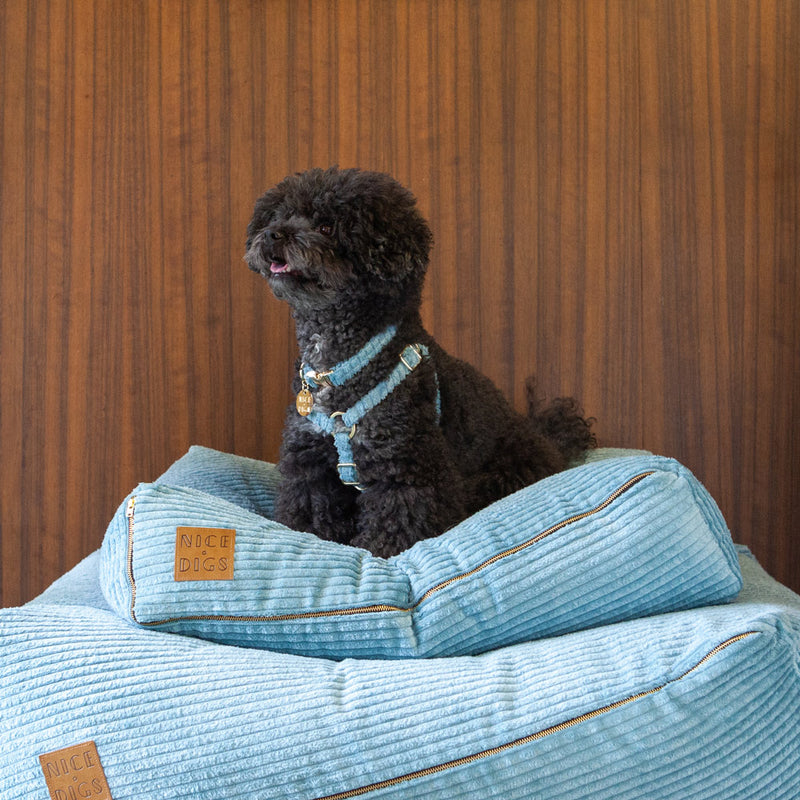 Jumbo Cord Non-Pull Dog Harness - Sky
