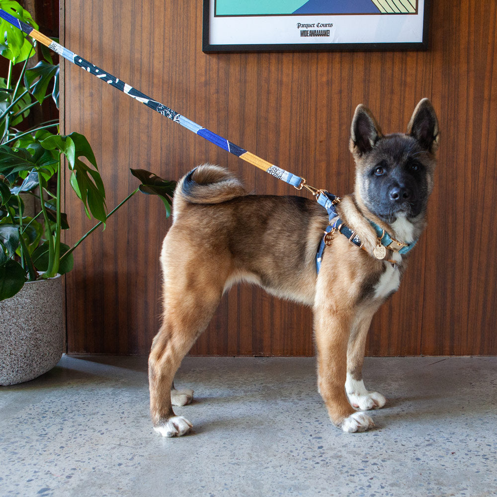 Out Of The Rubble Printed Leash