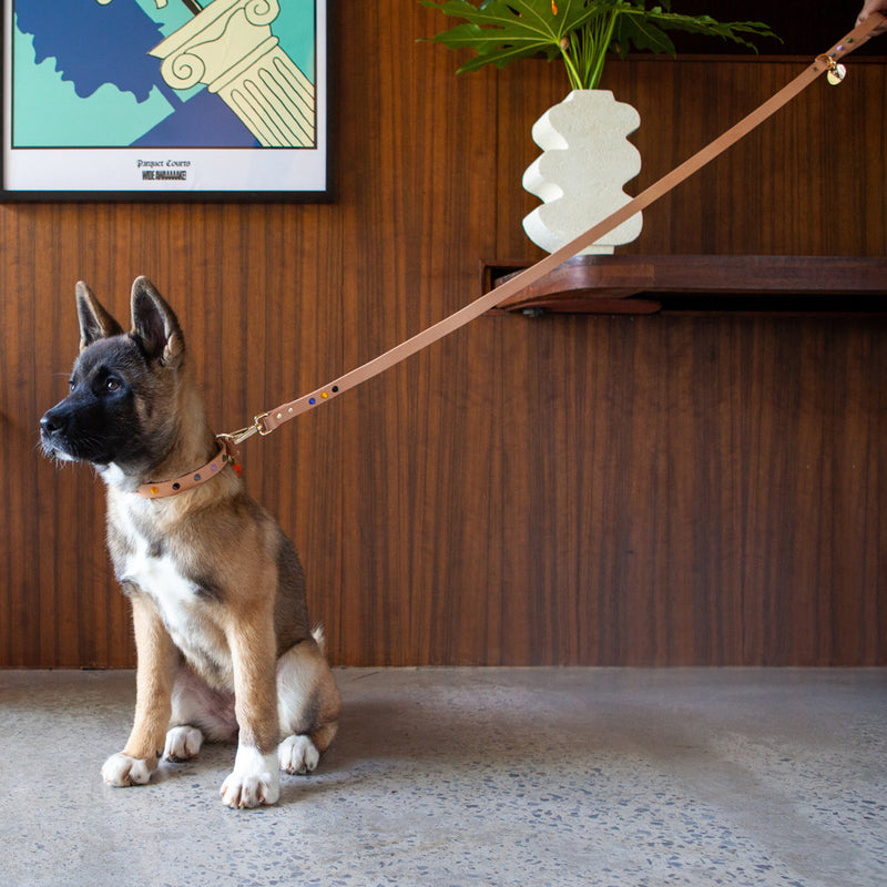 Smooth Spike Leather Dog Leash - Rocky Tan