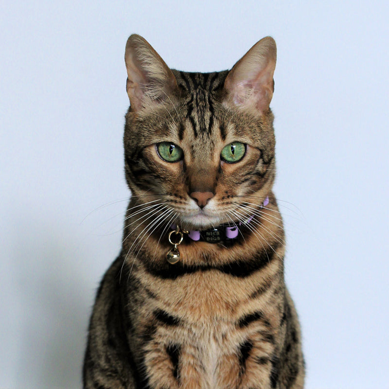 Animal Leather Cat Collar - Lilac