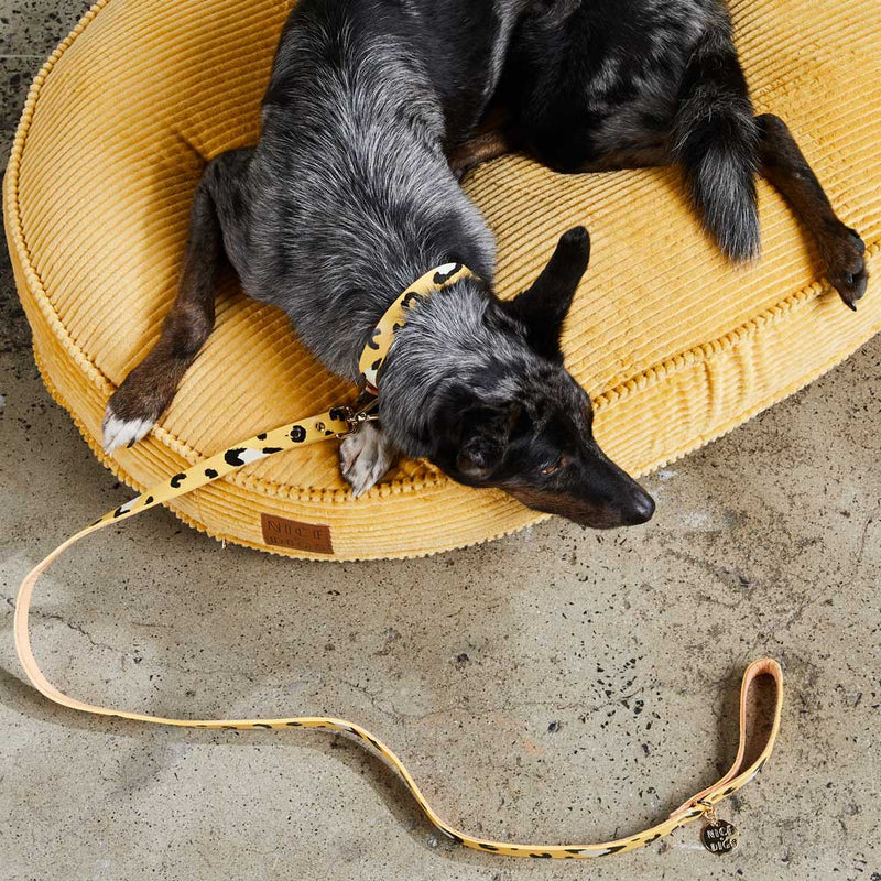 Animal Leather Dog Collar - Butter