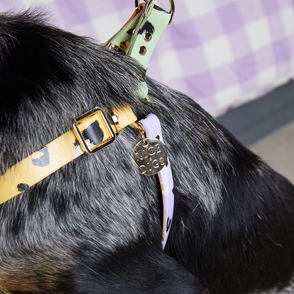 Animal Leather Non-Pull Dog Harness - Sorbet