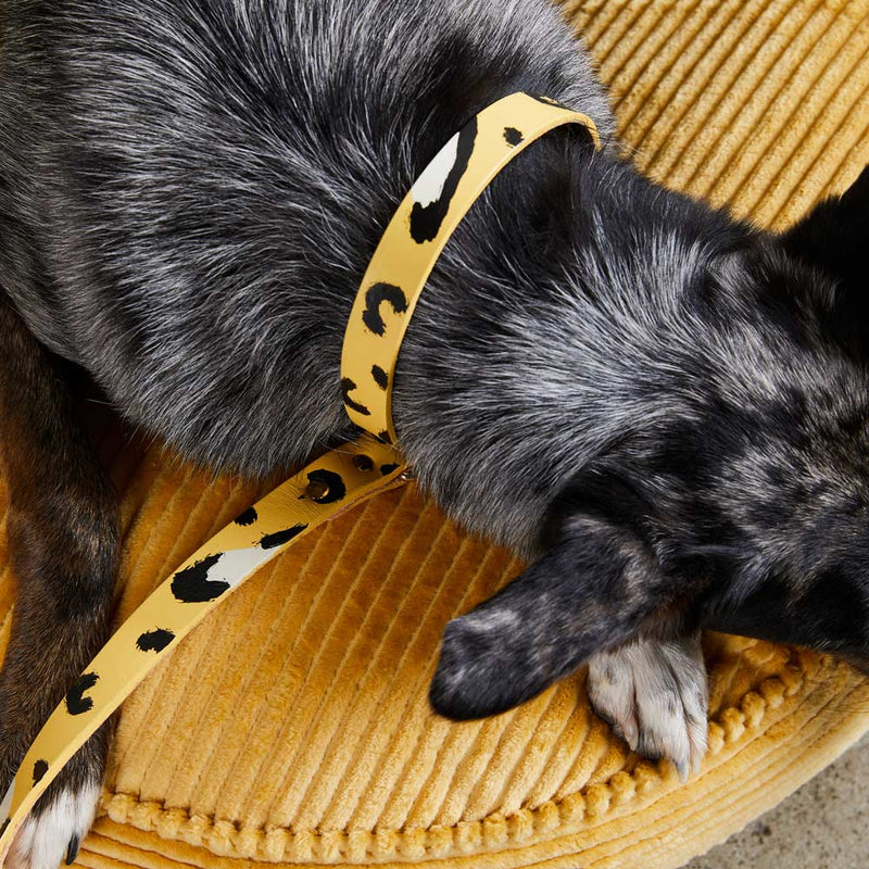 Animal Leather Leash - Butter