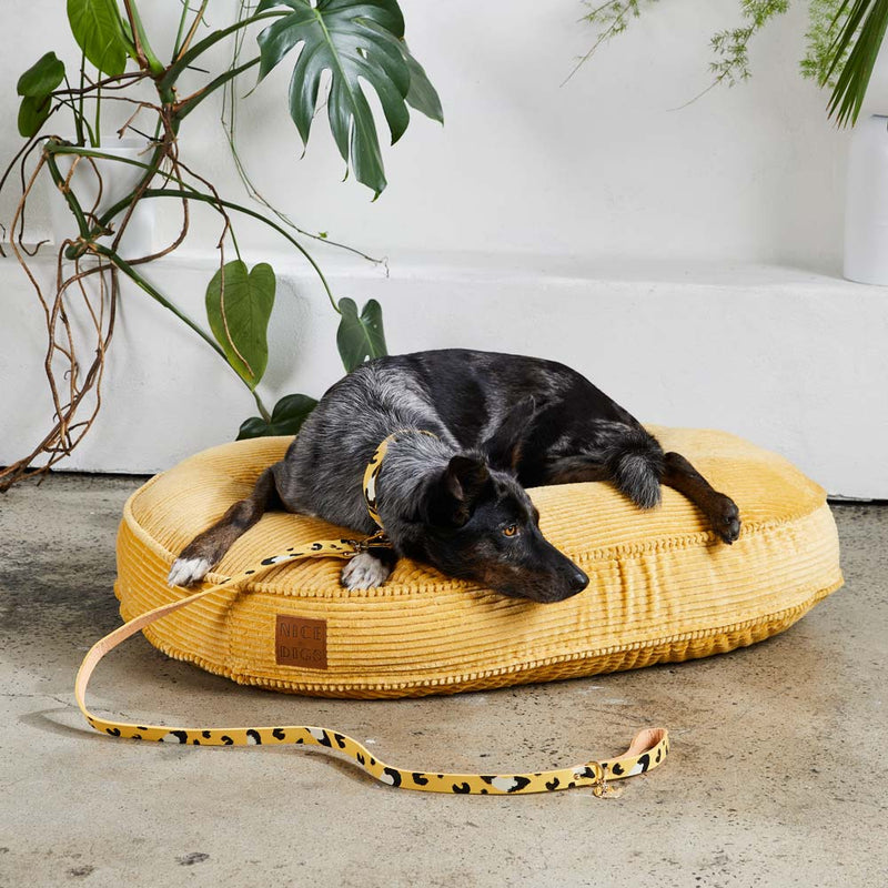 Animal Leather Leash - Butter