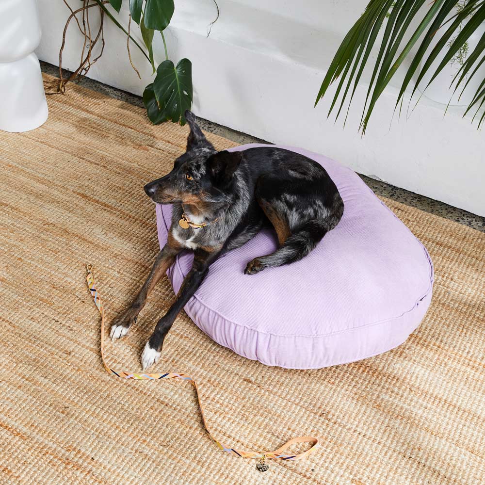 Cord Dog Bed - Lilac