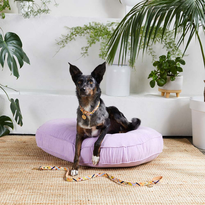 Cord Dog Bed - Lilac