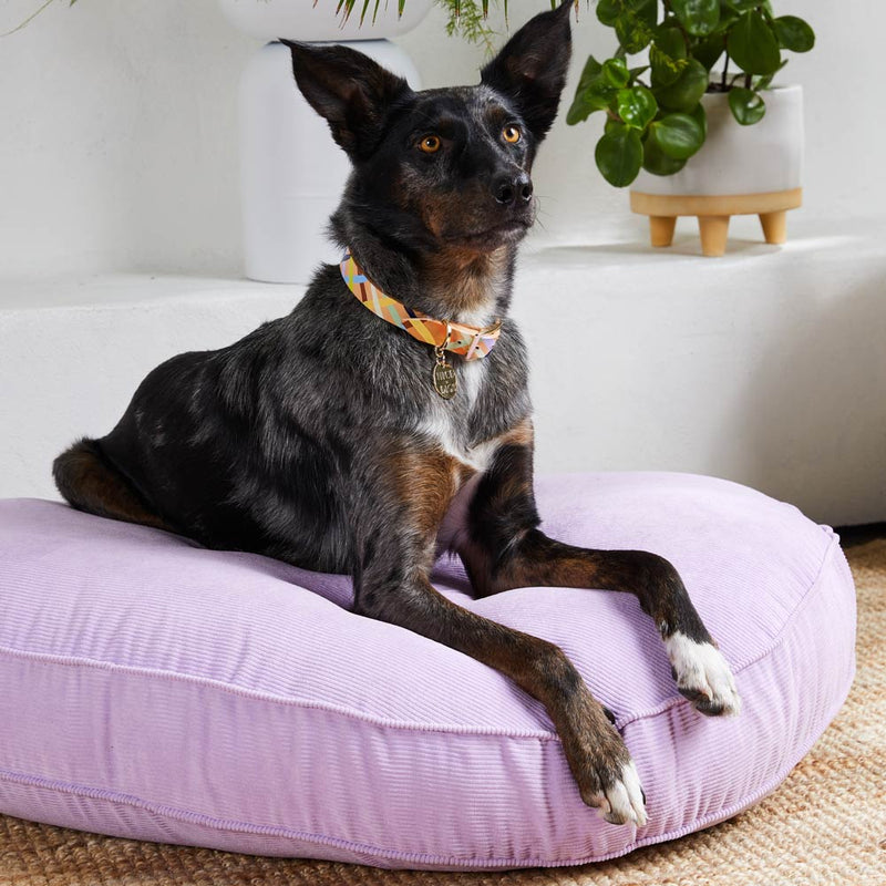 Cord Dog Bed - Lilac