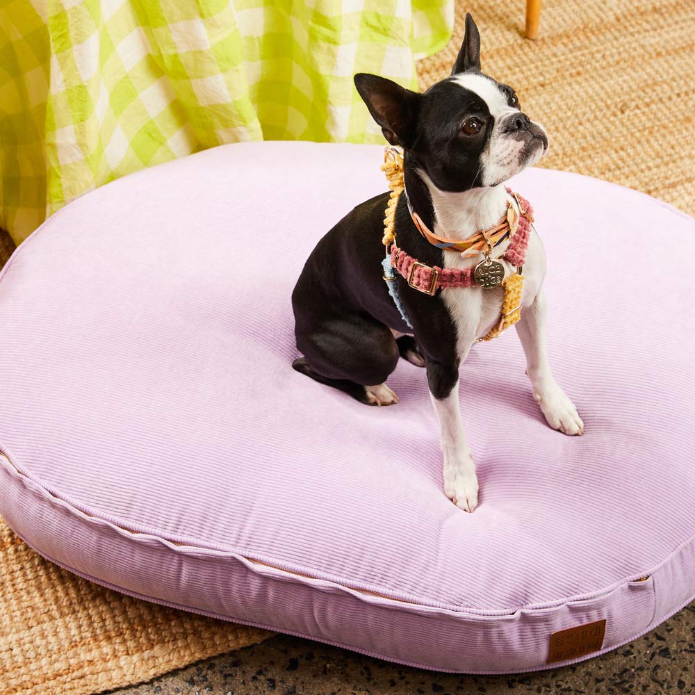 Oval Dog Bed Cover