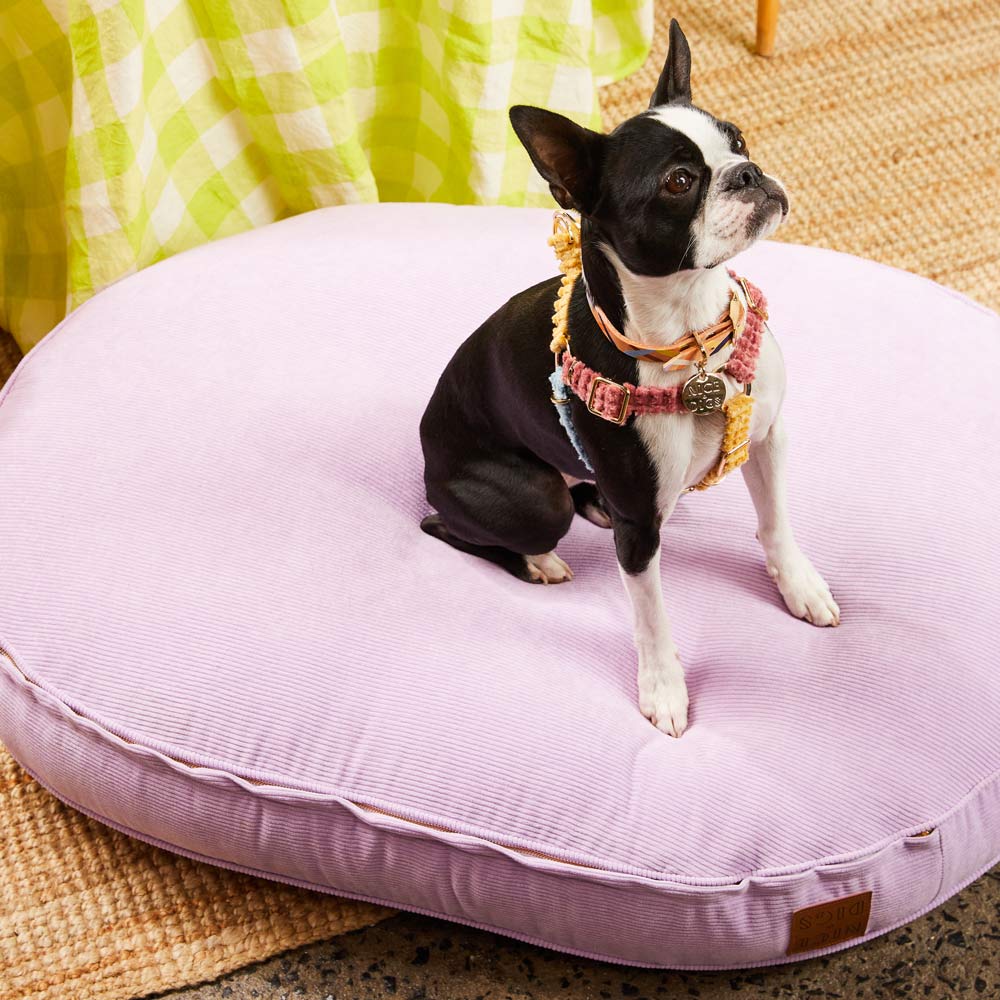 Oval Dog Bed Cover - ONLY S SIZES LEFT