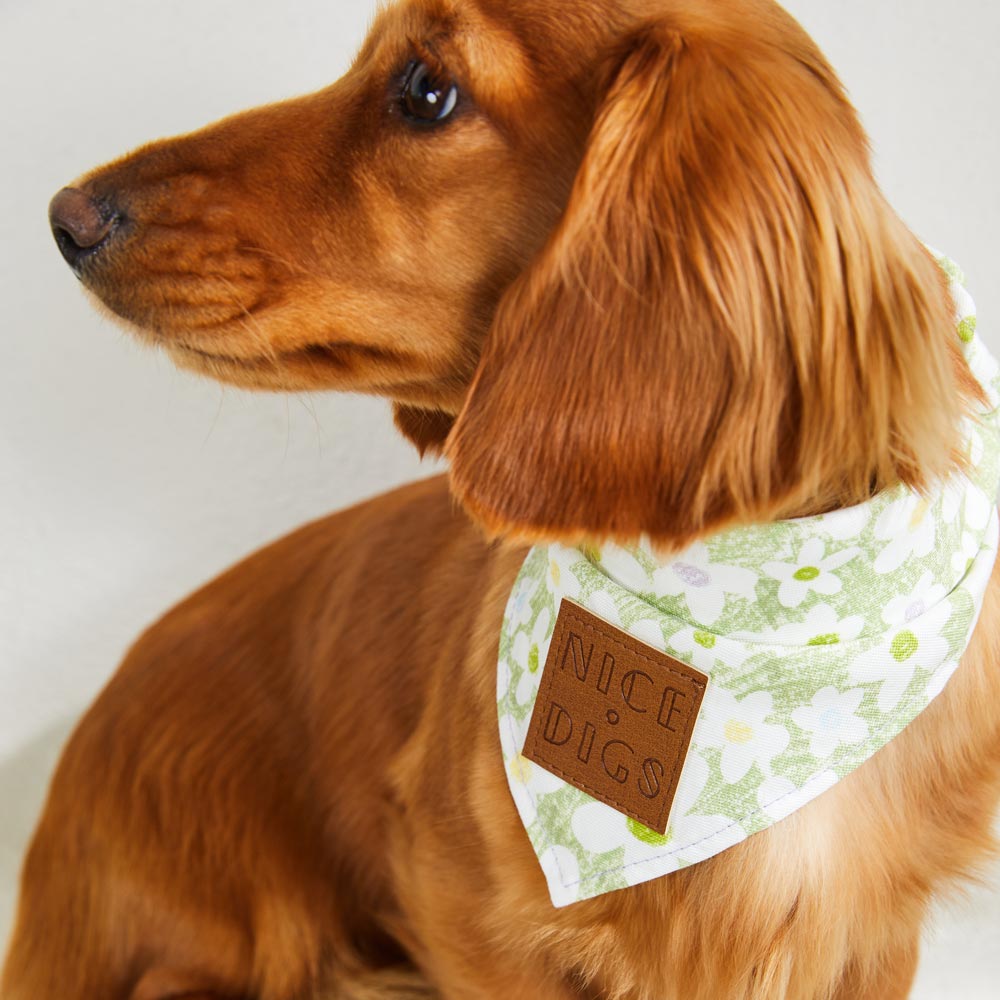 Daisy Bandana - Pistachio