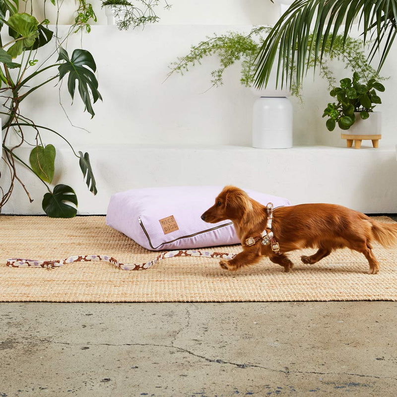Daisy Printed Leash - Pecan