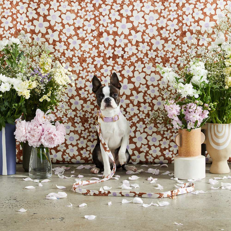 Daisy Printed Leash - Pecan