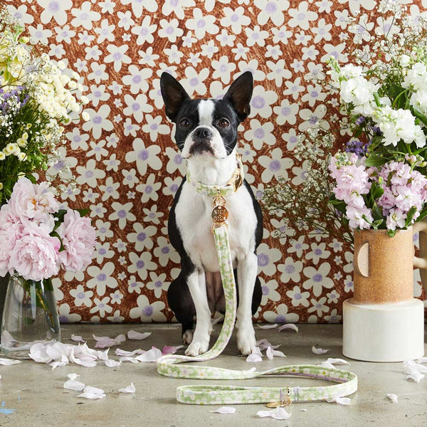 Daisy Printed Leash - Pistachio
