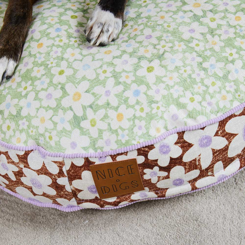 I Dream of Daisy Dog Bed