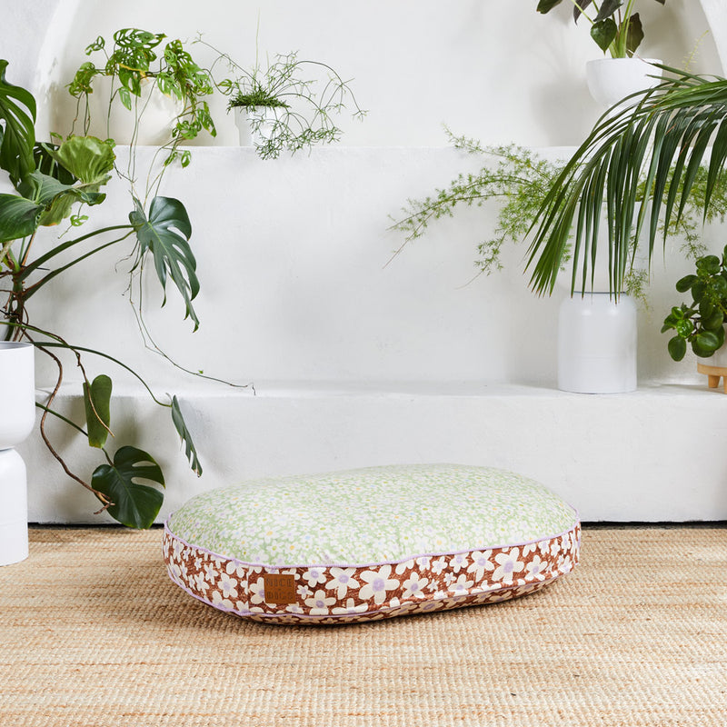 I Dream of Daisy Dog Bed