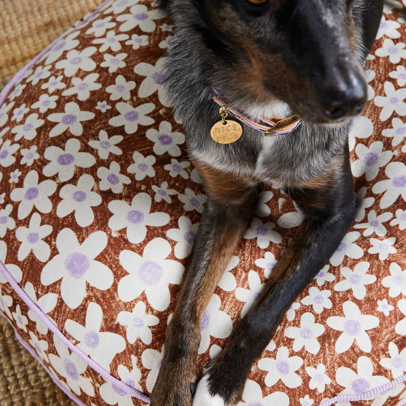 I Dream of Daisy Dog Bed
