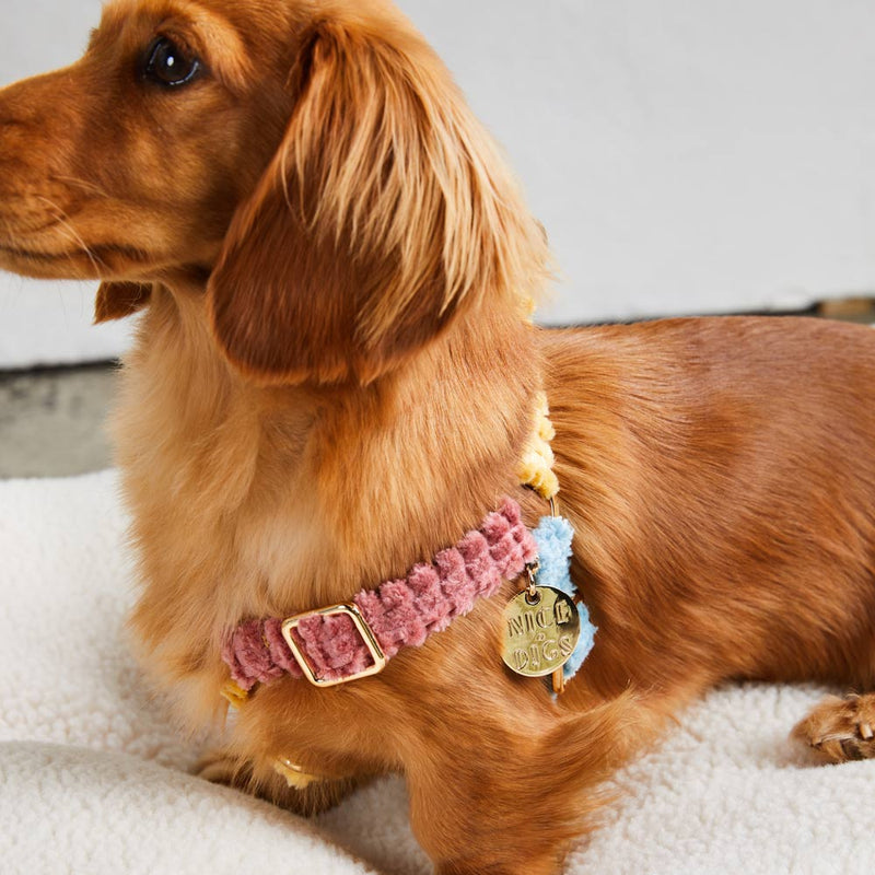 Jumbo Cord Non-Pull Dog Harness - Sorbet